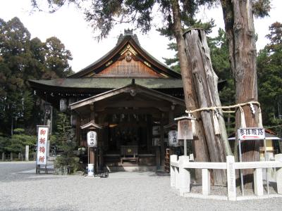 建部大社 拝殿と御神木