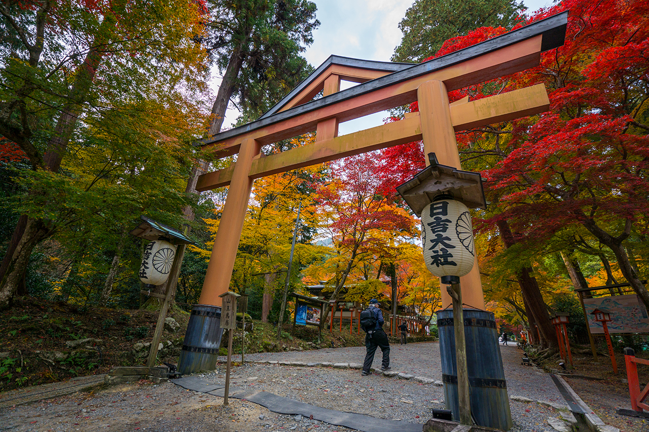 日吉大社 山王鳥居 横から