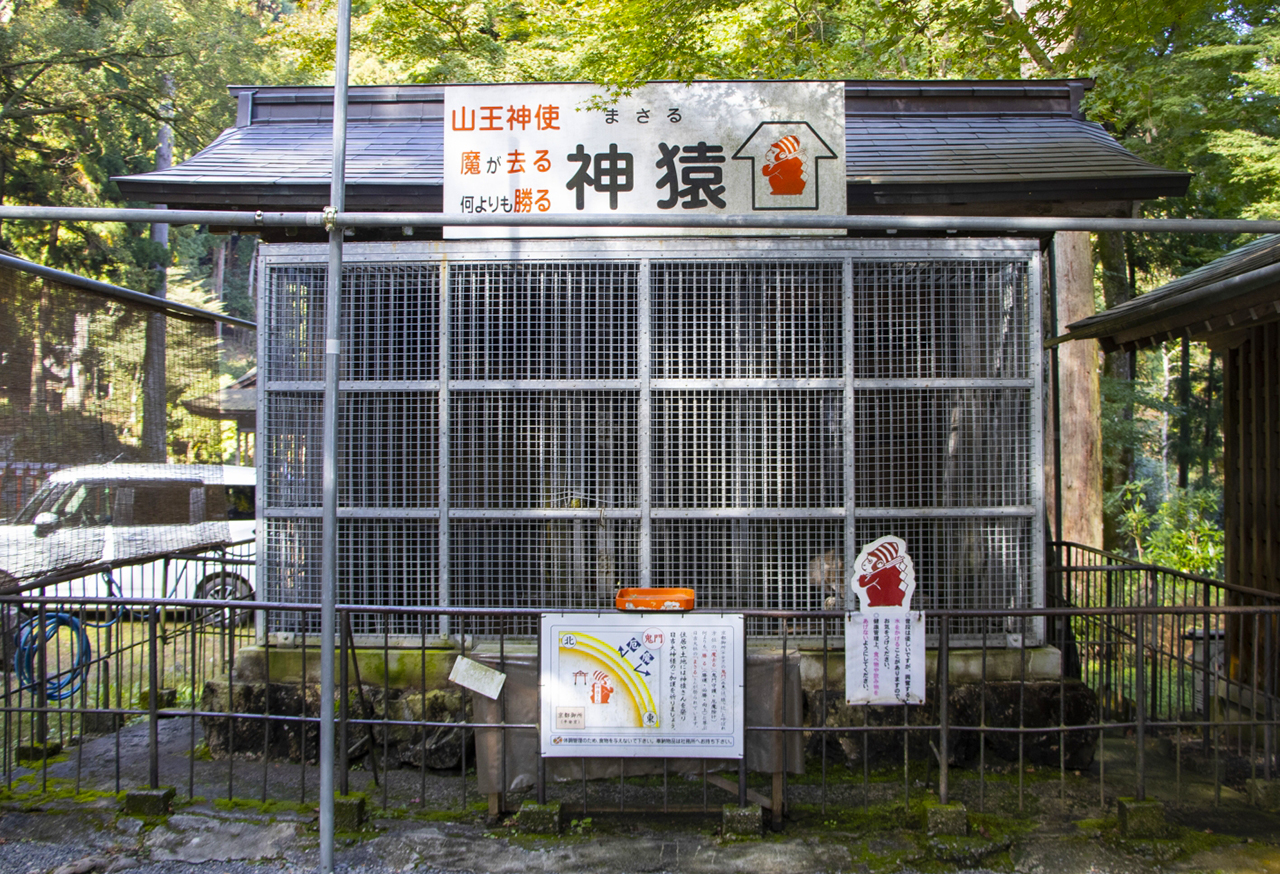 日吉大社 神猿舎