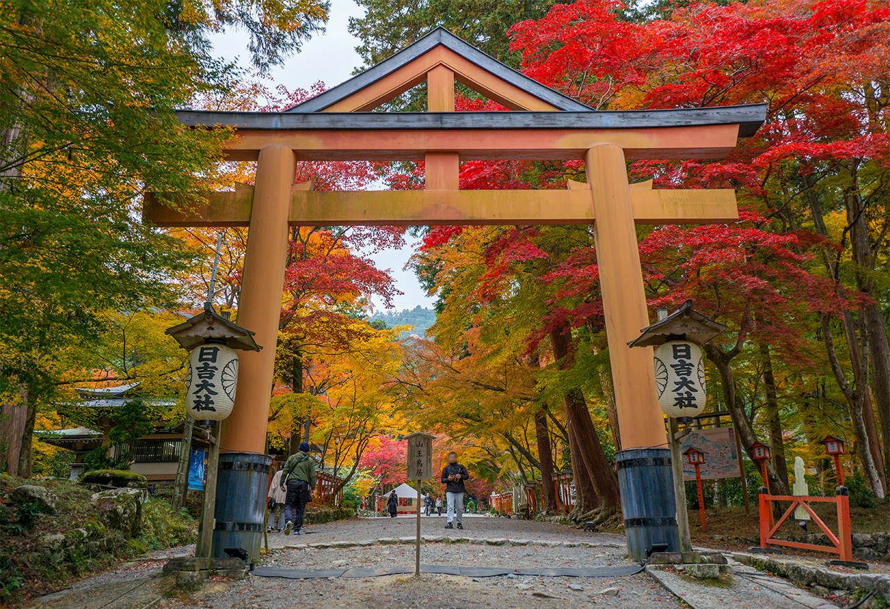 日吉大社 山王鳥居