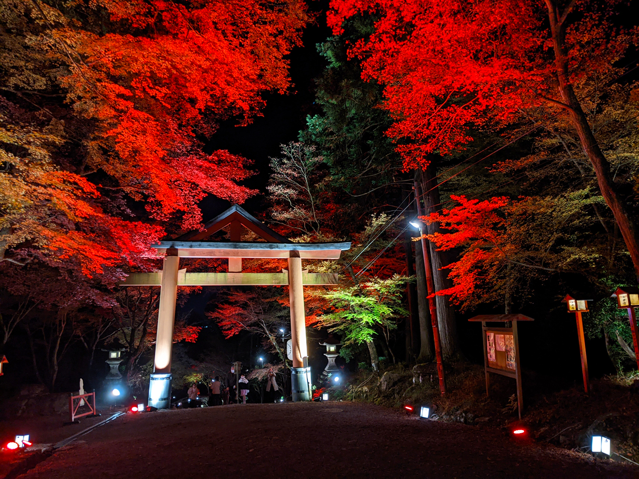 日吉大社 ライトアップされた山王鳥居
