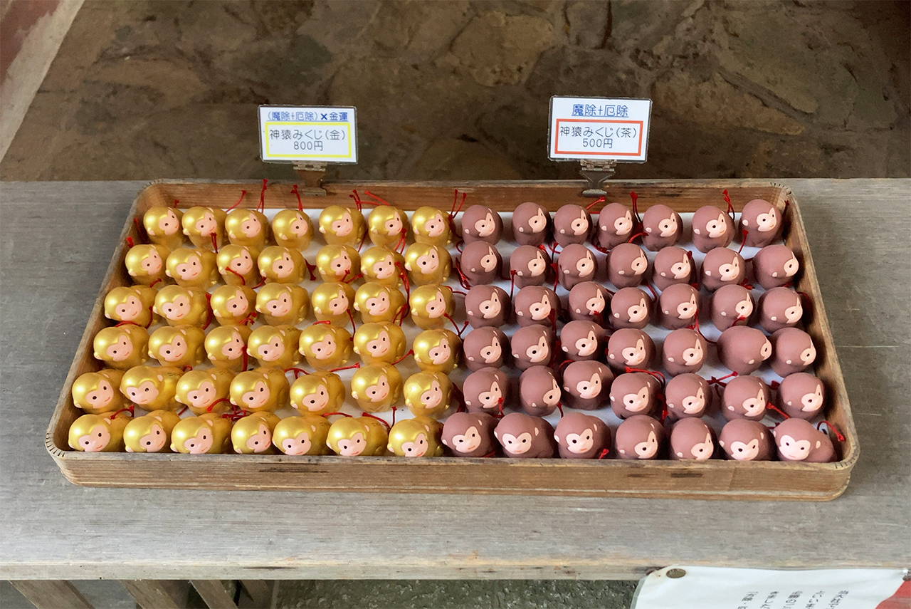 日吉大社 神猿みくじ
