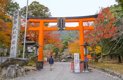 日吉大社 日吉大社 入口の鳥居と社号標