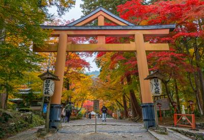 日吉大社 日吉大社 山王鳥居