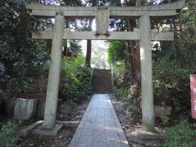 戸隠神社 鳥居