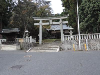 樹下神社 鳥居