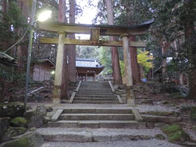 藤切神社 鳥居