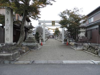 白鳥神社 鳥居