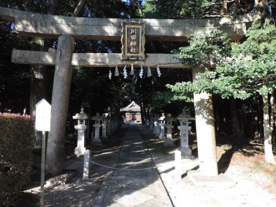 川田神社 鳥居