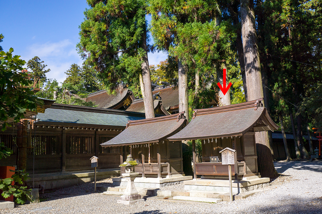 寿命石からみえる三宮神社・聖神社