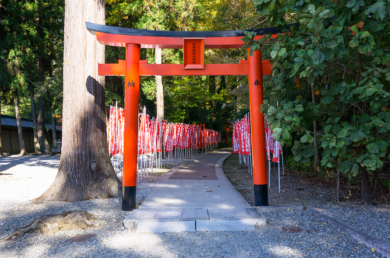 金咲稲荷神社 鳥居