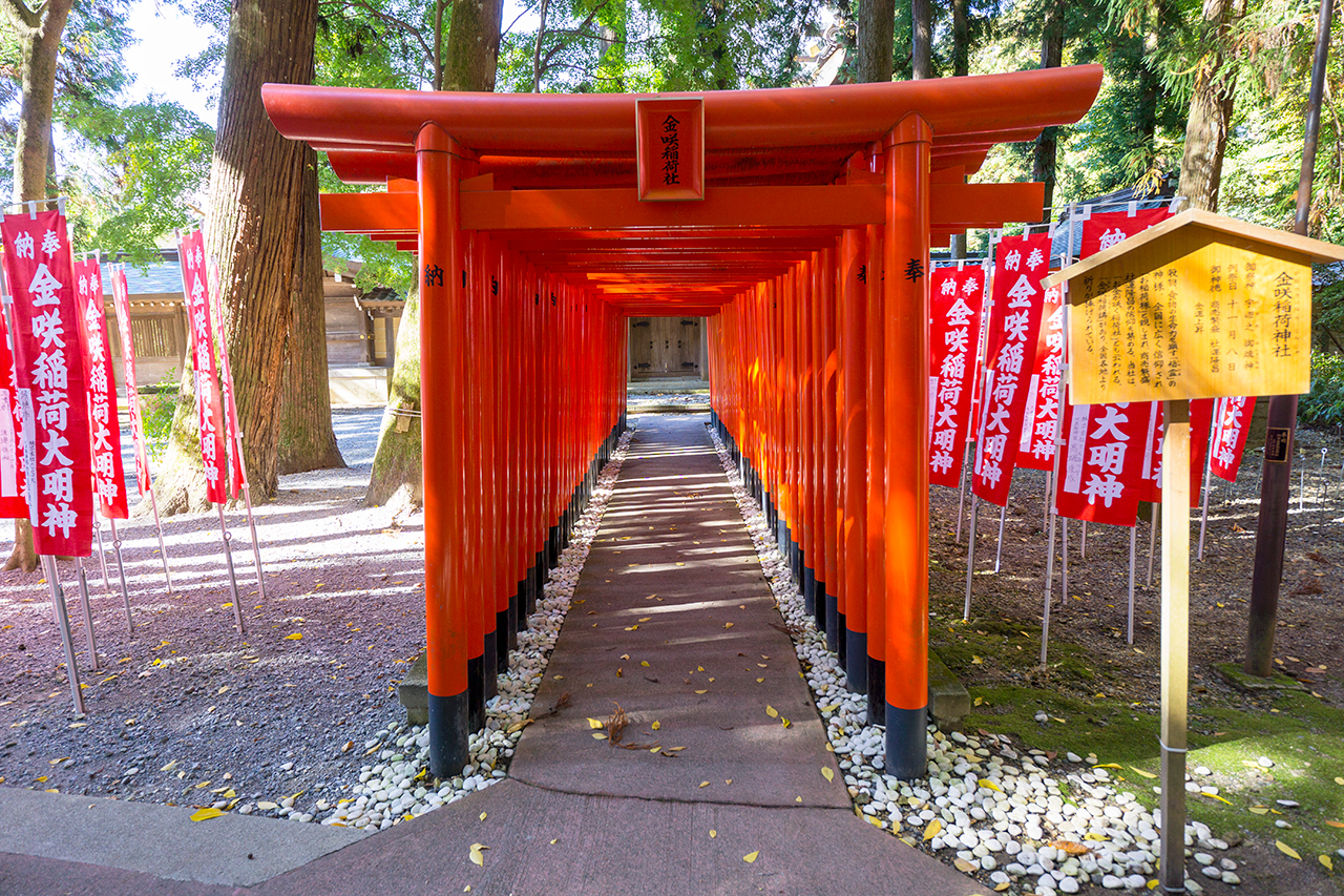 金咲稲荷神社 千本鳥居