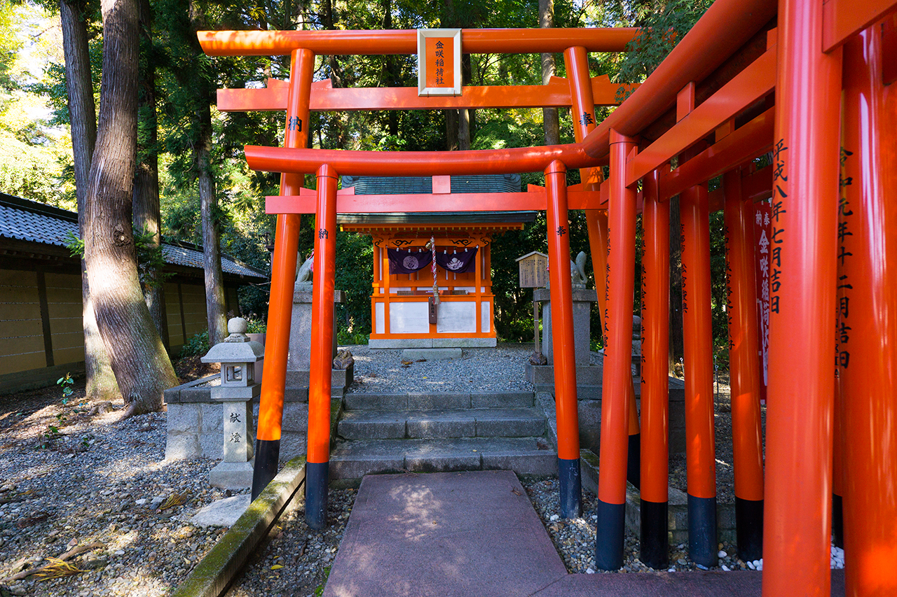 金咲稲荷神社 鳥居と社殿