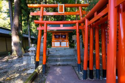 多賀大社 金咲稲荷神社 鳥居と社殿