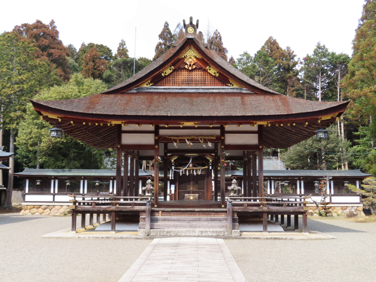 鳥居と参道