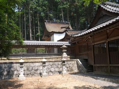 泉神社 本殿