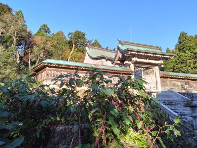 丹生神社 社殿