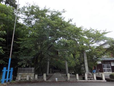 等波神社 鳥居