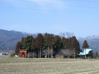 津野神社 神社遠景
