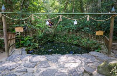 八重垣神社 八重垣神社 鏡の池