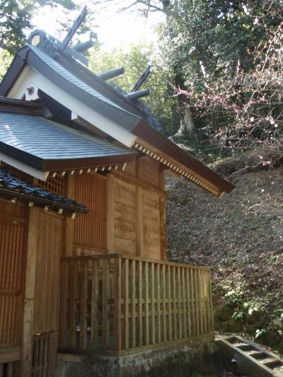 那賣佐神社 本殿