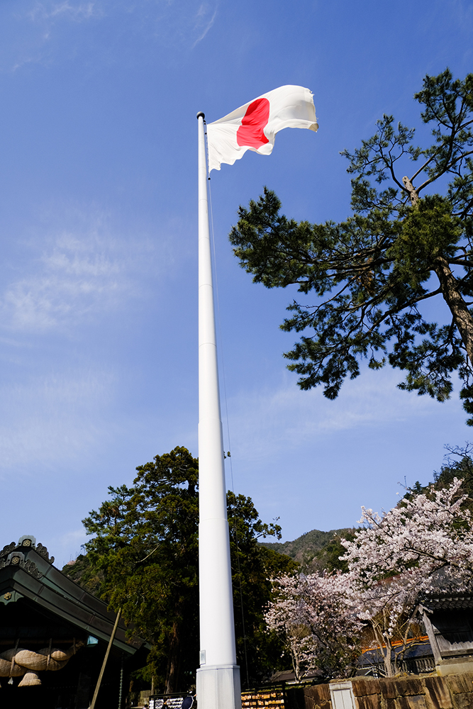 掲揚された国旗