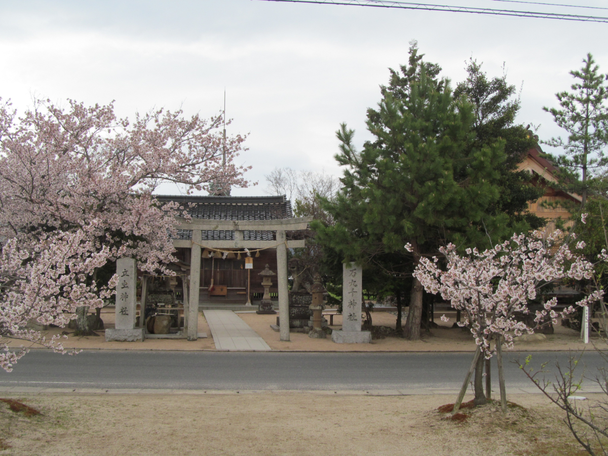 桜と鳥居