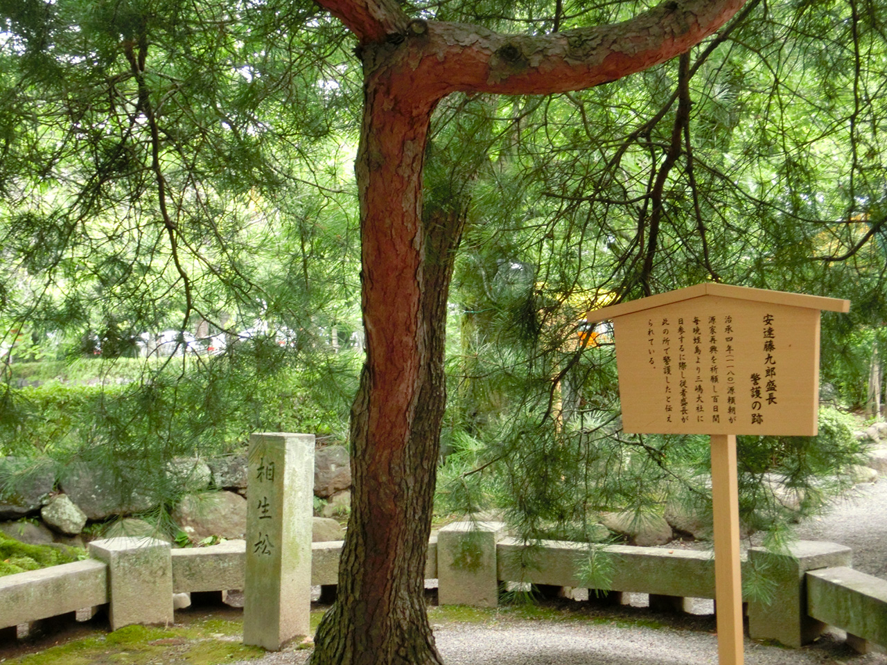 相生の松 看板