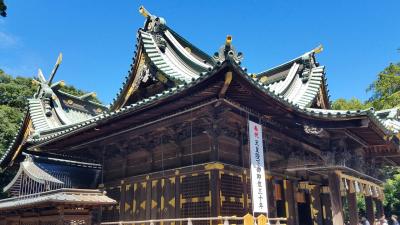 三嶋大社 本殿・幣殿・拝殿の3つの建物が連なる複合社殿