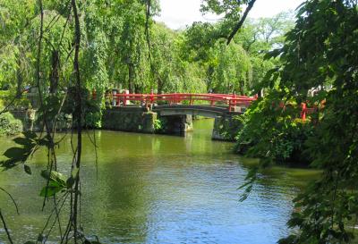 三嶋大社 神池