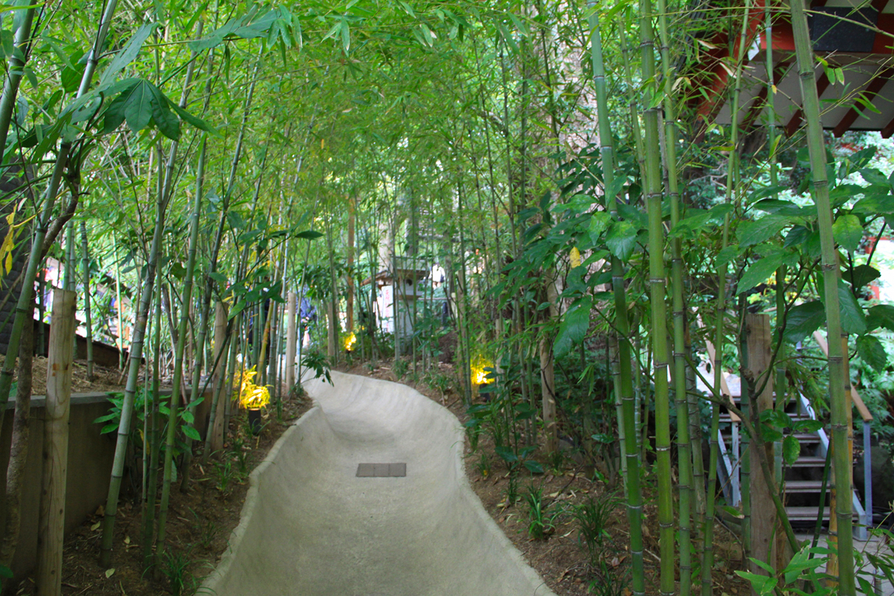 楠への小路