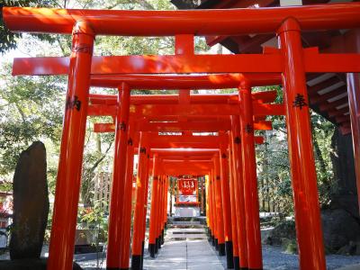 来宮神社 来宮稲荷社 千本鳥居