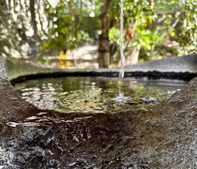 来宮神社 御神水