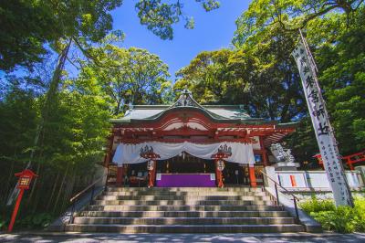 来宮神社 拝殿全体