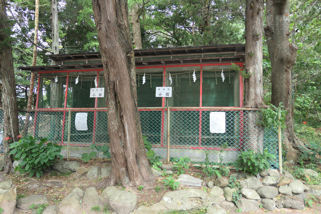 小国鶏小屋