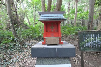 伊古奈比咩命神社 目の神様 社殿