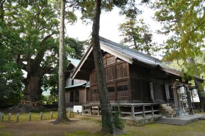 杉桙別命神社 社殿と大クス