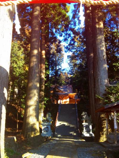 須山浅間神社 参道と拝殿