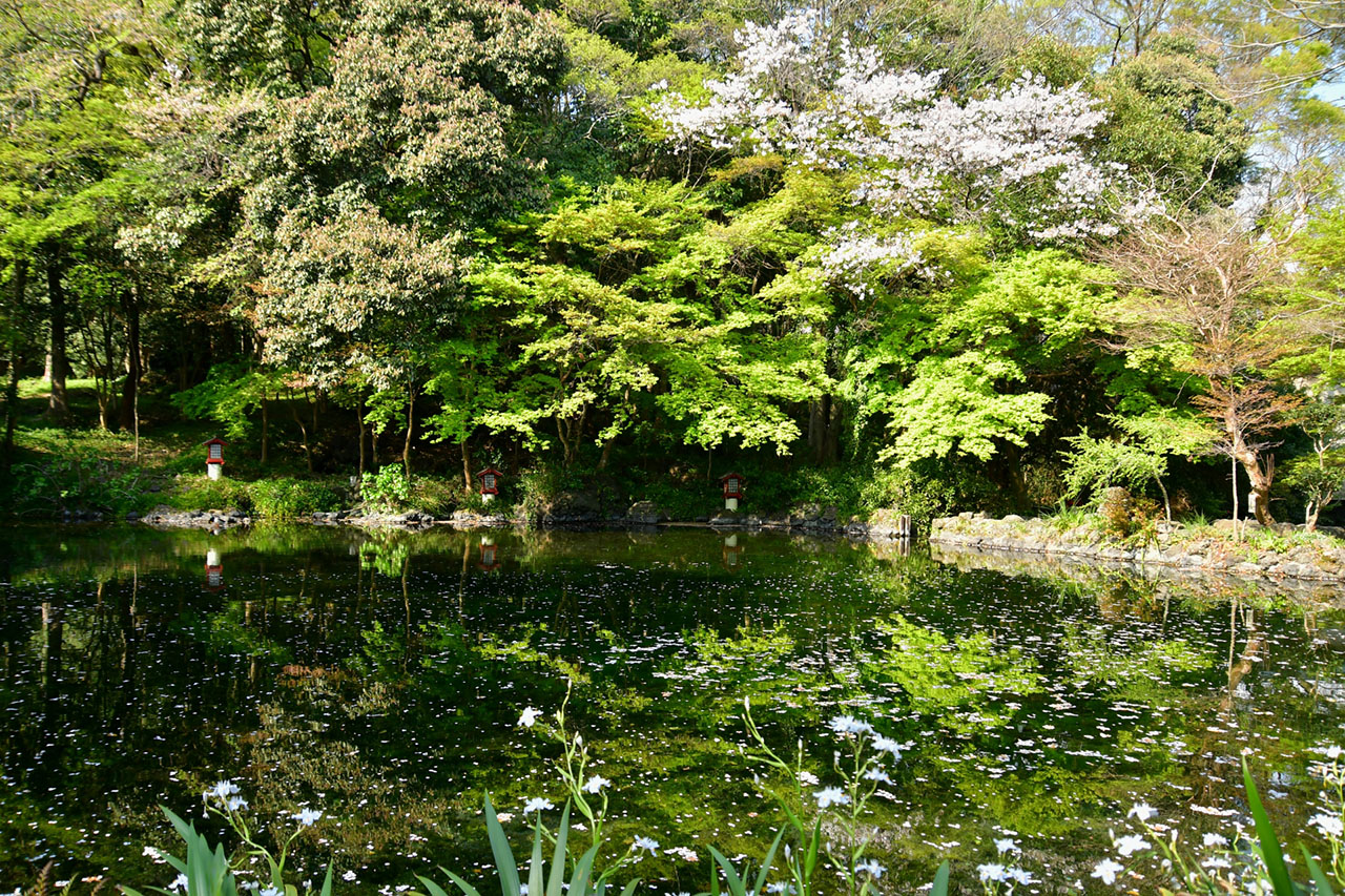 湧玉池