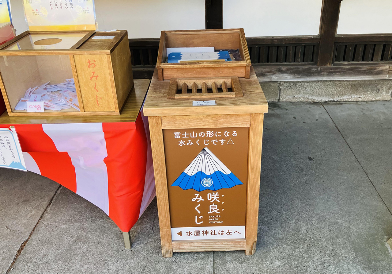 販売している咲良みくじ