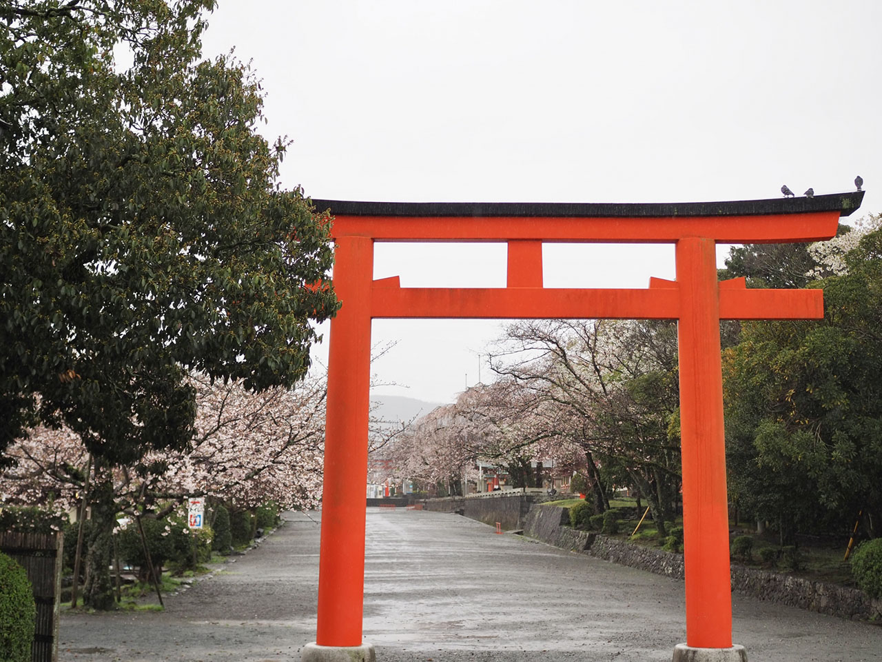 桜馬場の鳥居