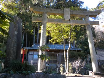 倭文神社 鳥居と拝殿