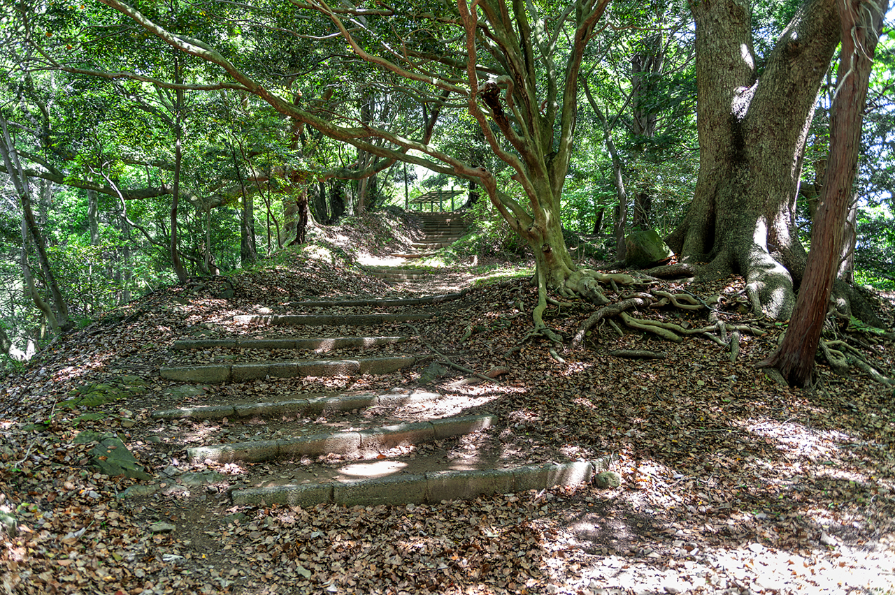 麓山神社 参道