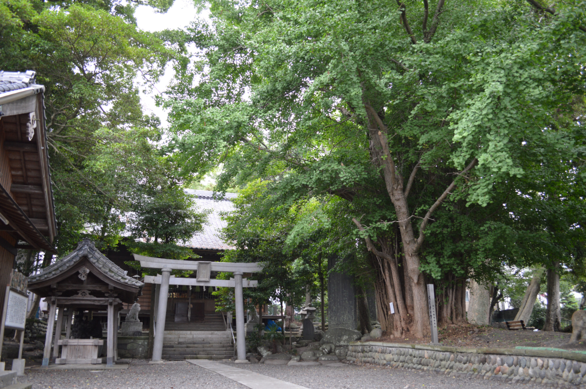 鳥居と拝殿