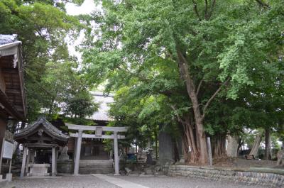 豊積神社 鳥居と拝殿