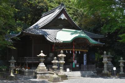 和歌宮神社 拝殿