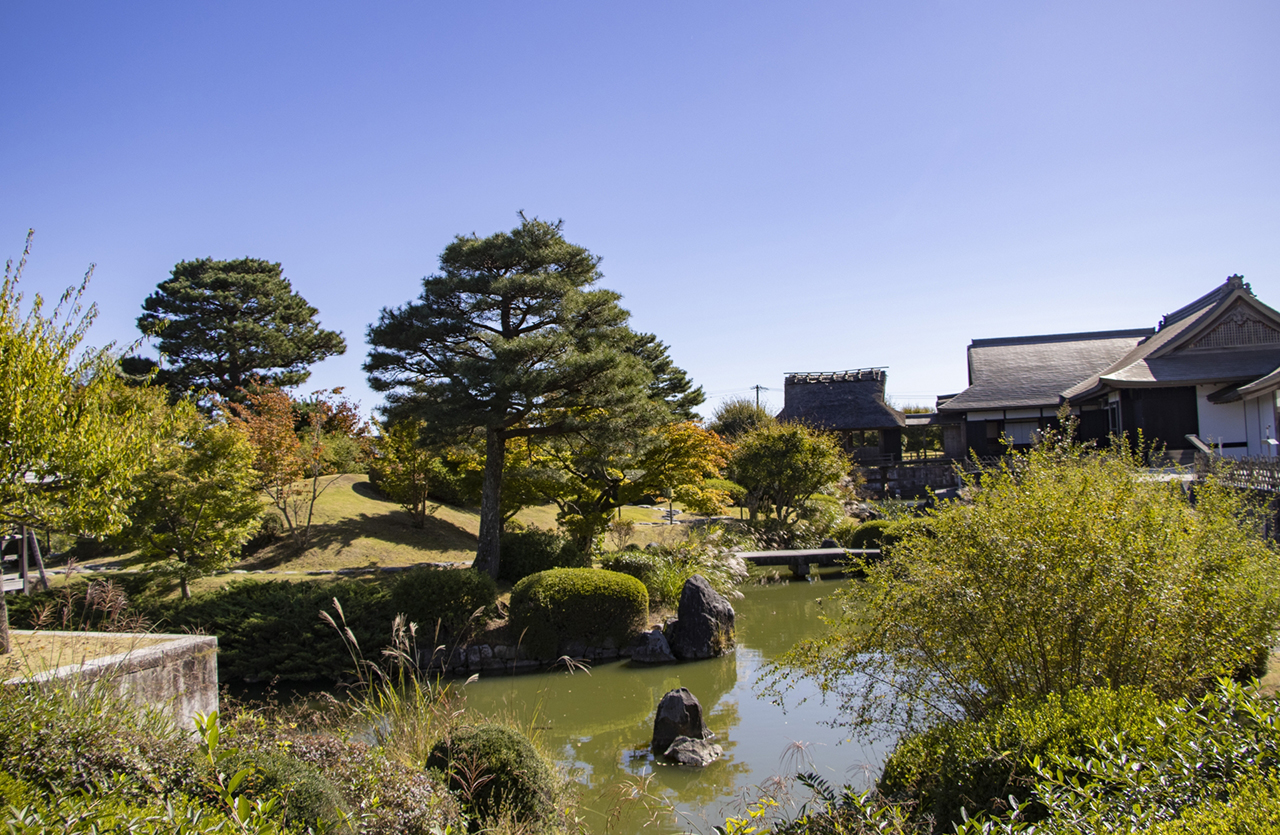 ふじのくに茶の都ミュージアム