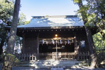 大井神社 静霊神社 社殿 
