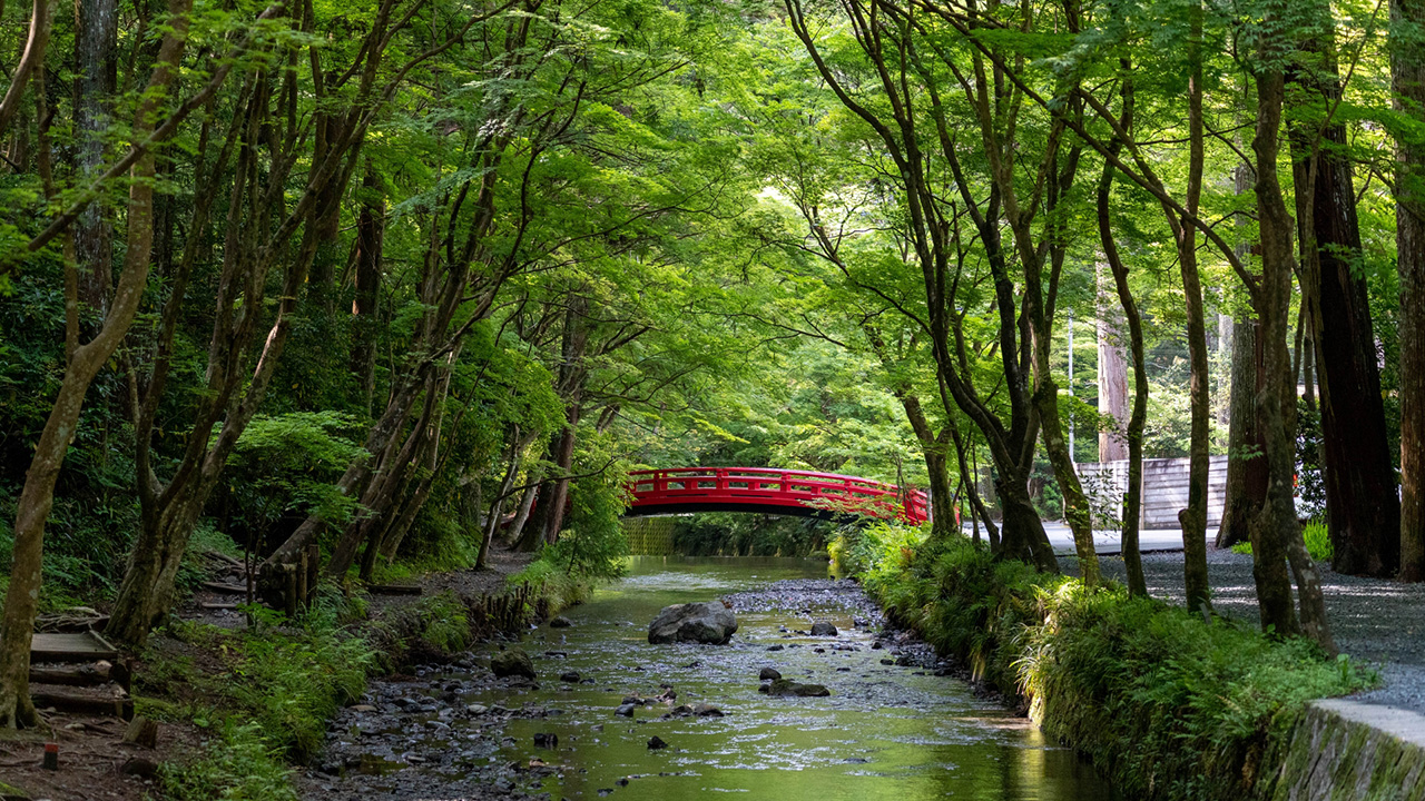 新緑の宮川と橋