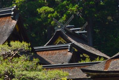 小國神社 本殿